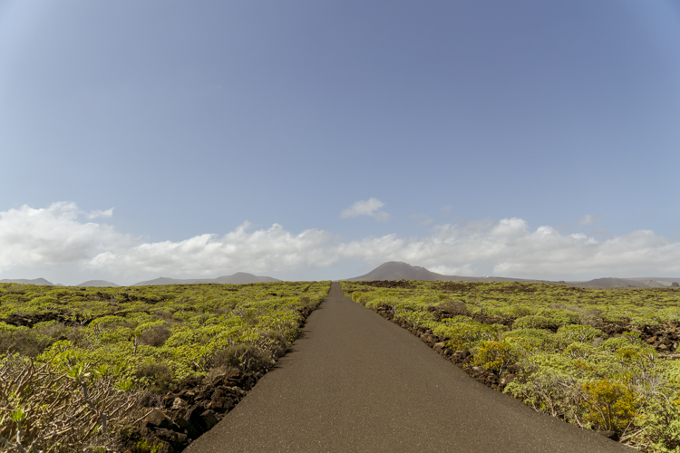 Une route tracèe au milieu des coulées de laves sur l'île de Lanzarote.