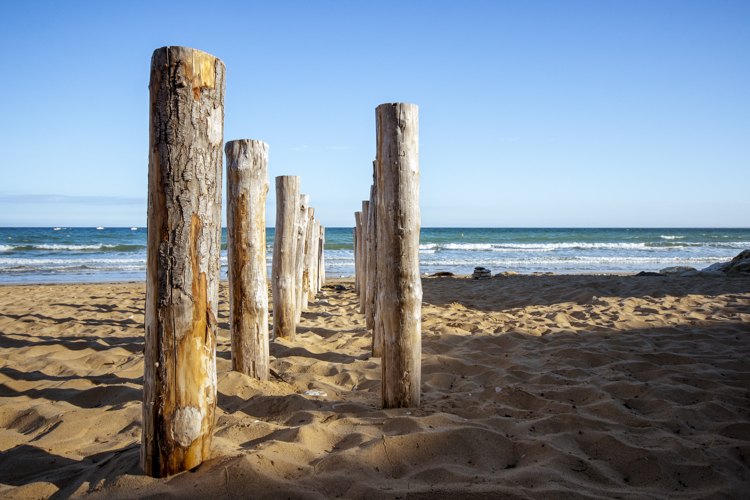 Deux rangées de pieux en bois planté sur une plage pour combattre les déferlantes.