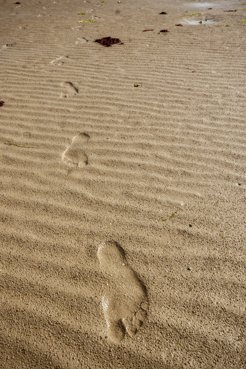 Des traces de mes pieds dans le sable mouillé.