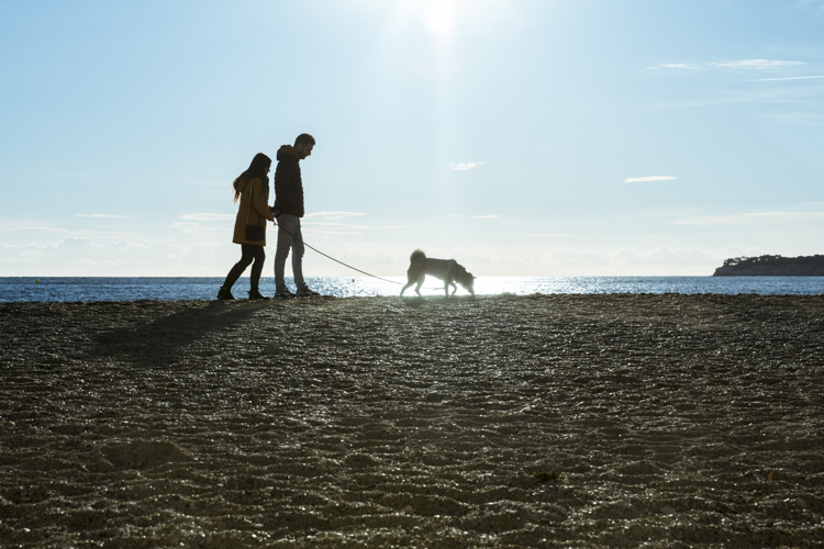 Un couple promène leur chien sur la plage de la Grande Mer à Cassis.