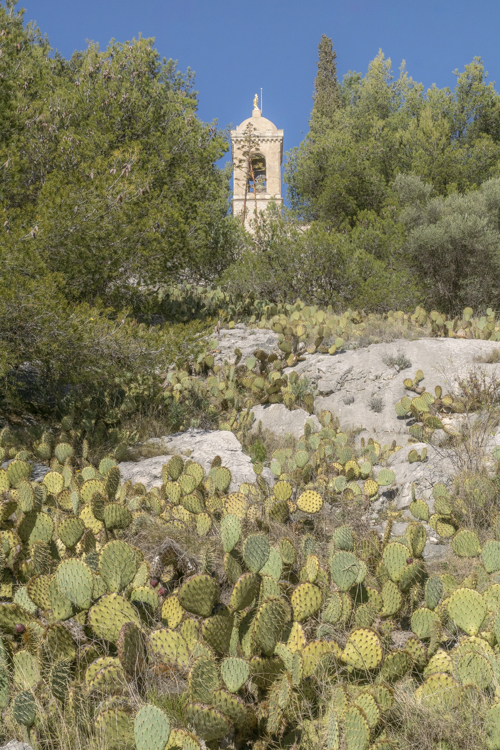 Un parterre de cactus accroché à la roche de la colline qui accueille la chapelle Notre-Dame du Château.
